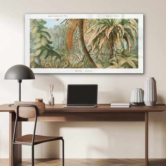 MuchoWow® Peinture sur Verre - Vintage - Maîtres Anciens - Fougères - Plantes - Nature - 120x60 cm - Peintures sur Verre Acrylique - Photo sur Glas