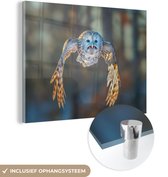 MuchoWow® Glasschilderij 120x90 cm - Schilderij acrylglas - Vliegende uil op vervaagde achtergrond - Foto op glas - Schilderijen