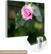 MuchoWow® Glasschilderij 160x120 cm - Schilderij acrylglas - Rozen - Bloemen - Struik - Foto op glas - Schilderijen