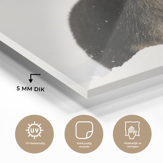 MuchoWow® Peinture sur verre 150x100 cm - Peinture sur verre acrylique - Lapin - Neige - Hiver - Photo sur verre - Peintures