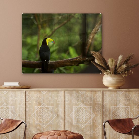MuchoWow® Peinture sur verre 80x60 cm - Peinture sur verre acrylique - Dos d'un toucan sur une branche - Photo sur verre - Peintures