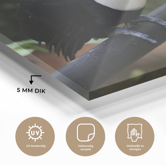 MuchoWow® Peinture sur verre 120x80 cm - Peinture sur verre acrylique - Toucan sur une branche noire au Brésil - Photo sur verre - Peintures
