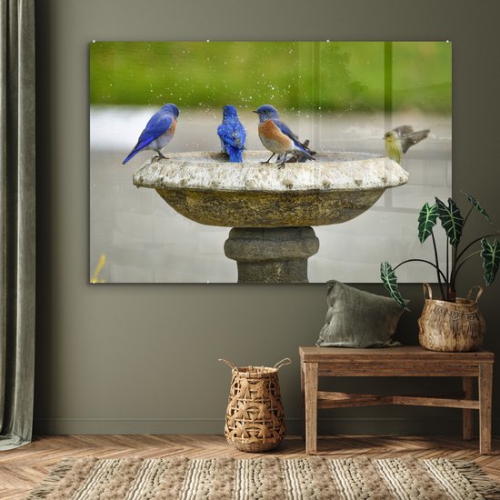 MuchoWow® Peinture sur verre 150x100 cm - Peinture sur verre acrylique - Vogel - Bain d'oiseaux - Water - Photo sur verre - Peintures