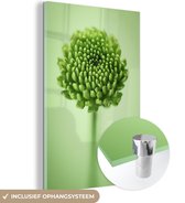 MuchoWow® Glasschilderij 20x30 cm - Schilderij acrylglas - Groene botanische chrysant bloem met een wazige achtergrond - Foto op glas - Schilderijen