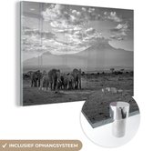 MuchoWow® Glasschilderij 120x80 cm - Schilderij acrylglas - Trekkende olifanten - zwart wit - Foto op glas - Schilderijen