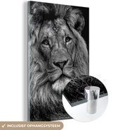 MuchoWow® Peinture sur verre - Lion de près sur fond noir - noir et blanc - 40x60 cm - Peintures sur verre acrylique - Photo sur Glas