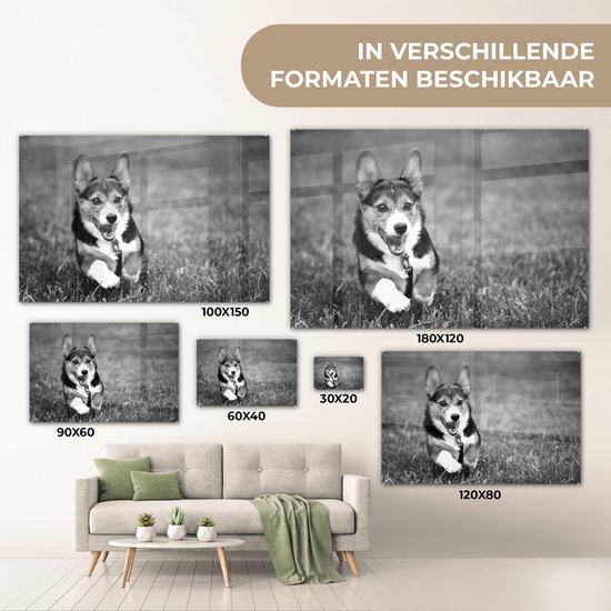 MuchoWow® Peinture sur verre 180x120 cm - Peinture sur verre acrylique - Chien qui court - noir et blanc - Photo sur verre - Peintures