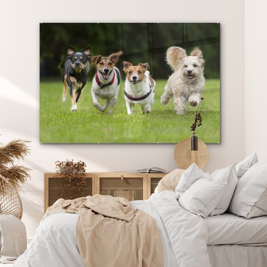 MuchoWow® Peinture sur verre 180x120 cm - Peinture sur verre acrylique - Un groupe de chiots courant à travers un champ - Photo sur verre - Peintures