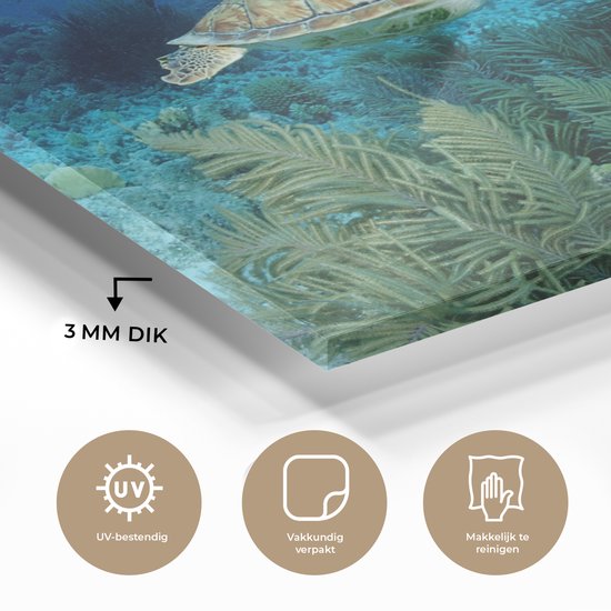 MuchoWow® Glasschilderij 30x20 cm - Schilderij acrylglas - Groene zeeschildpad op Bonaire - Foto op glas - Schilderijen