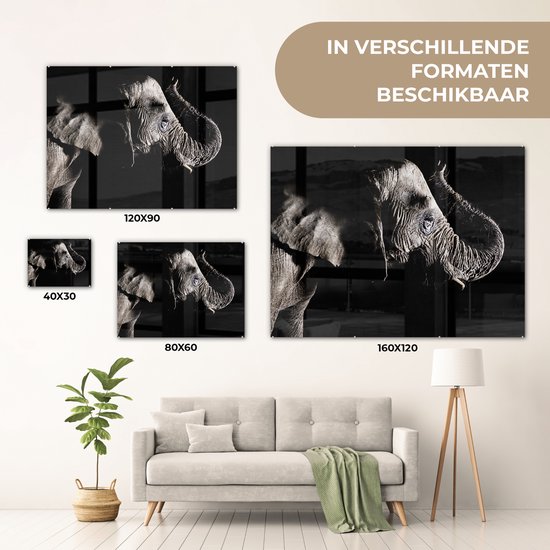 MuchoWow® Peinture sur verre - Éléphant - Zwart - Animaux - Nature - 120x90 cm - Peintures sur verre acrylique - Photo sur Glas