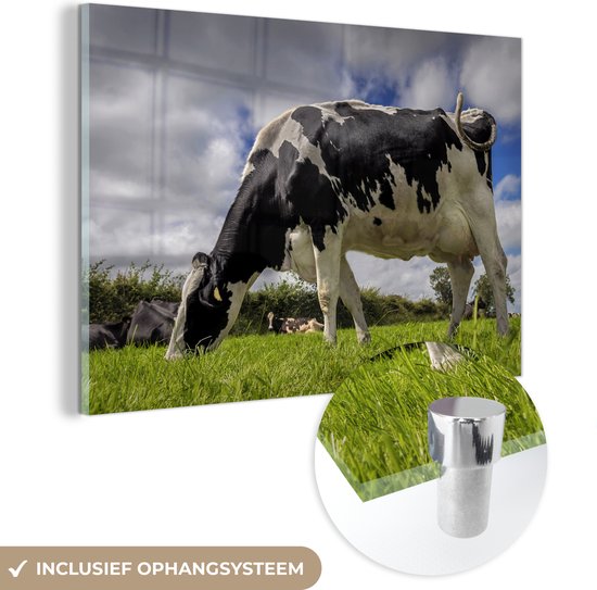 Une vache frisonne avec des nuages sombres au-dessus de son plexiglas 180x120 cm - Tirage photo sur Glas (décoration murale plexiglas) XXL / Groot format!