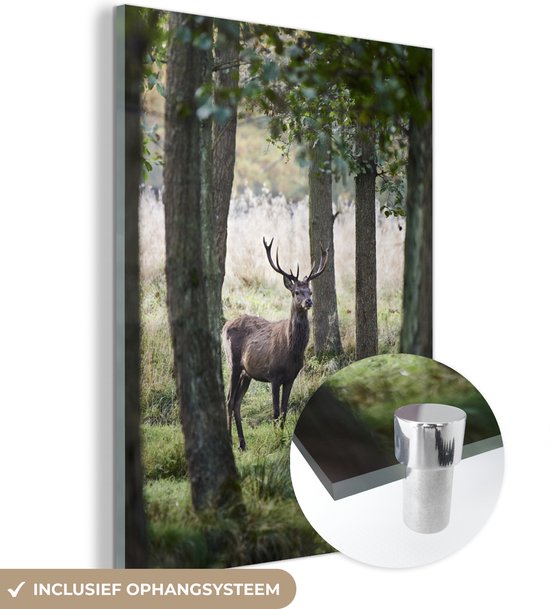 Peintures Plexiglas - Cerf - Herbe - Arbres - 30x40 cm - Peinture sur verre