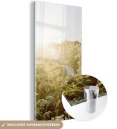 MuchoWow® Glasschilderij 20x40 cm - Schilderij acrylglas - Bloemen - Wit - Lente - Foto op glas - Schilderijen