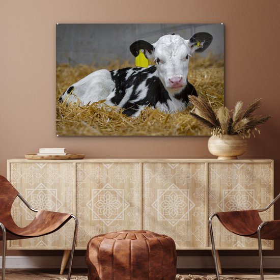 MuchoWow® Glasschilderij 120x80 cm - Schilderij acrylglas - Koe - Stro - Kalf - Dier - Foto op glas - Schilderijen