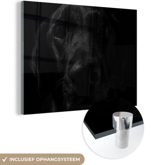 MuchoWow® Peinture sur verre 80x60 cm - Peinture sur verre acrylique - Chien - Animal de compagnie - Zwart - Photo sur verre - Peintures