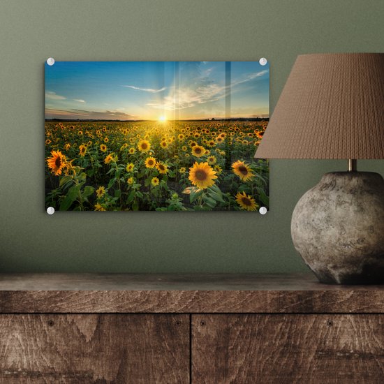 Peinture sur verre - Décoration murale - Fleurs - Tournesol - Jaune - Ciel - Peinture sur verre - Photo sur verre - Peinture fleurs - Verre acrylique - 30x20 cm - Décoration murale