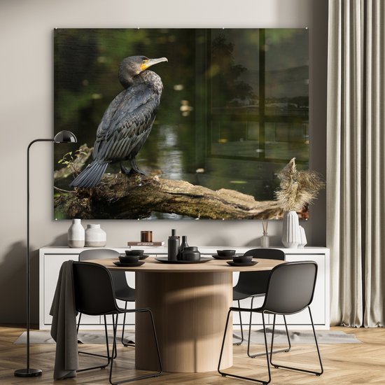 MuchoWow® Peinture sur Verre - Vogel - Branche - Water - Animaux - Cormoran - 160x120 cm - Peintures sur Verre Acrylique - Photo sur Glas