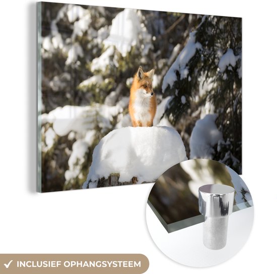 Peinture sur Verre - Renard - Neige - Arbre - 90x60 cm - Peintures sur Verre Peintures - Photo sur Glas