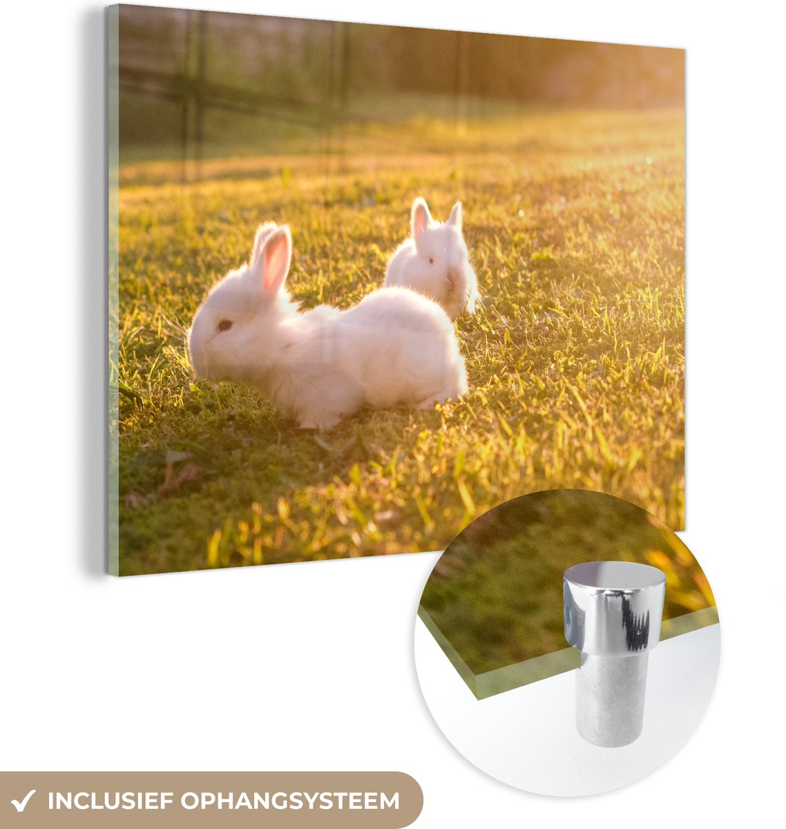 ® Glasschilderij 80x60 cm - Schilderij acrylglas - Konijnen - Baby - Wit - Foto op glas - Muurdecoratie woonkamer - Wanddecoratie slaapkamer - Schilderijen