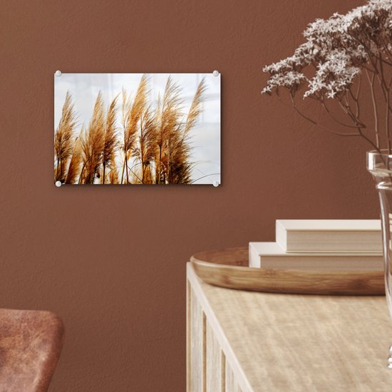 MuchoWow® Peinture sur verre 30x20 cm - Peinture acrylique sur verre - Herbe de la pampa - Soleil - Herbe - Photo sur verre - Peintures