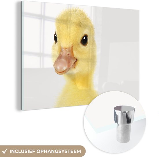 MuchoWow® Peinture sur verre 180x120 cm - Peinture sur verre - Canard - Poussin - Mignon - Enfants - Filles - Garçons - Photo sur verre acrylique - Peintures