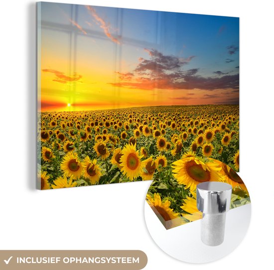 Glasschilderij - Foto op glas - Zonnebloem - Bloemen - Veld - Geel - Acrylplaat - Glasschilderij bloemen - Schilderij natuur - 120x80 cm - Acrylglas - Wanddecoratie - Muurdecoratie