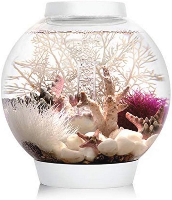 Aquarium 17L Met LED & Filtersysteem - Compact Tropisch Aquarium Met Led Filtersysteem Compact Tropisch Aquarium Met Waterpomp