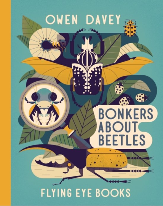 Bonkers about Beetles