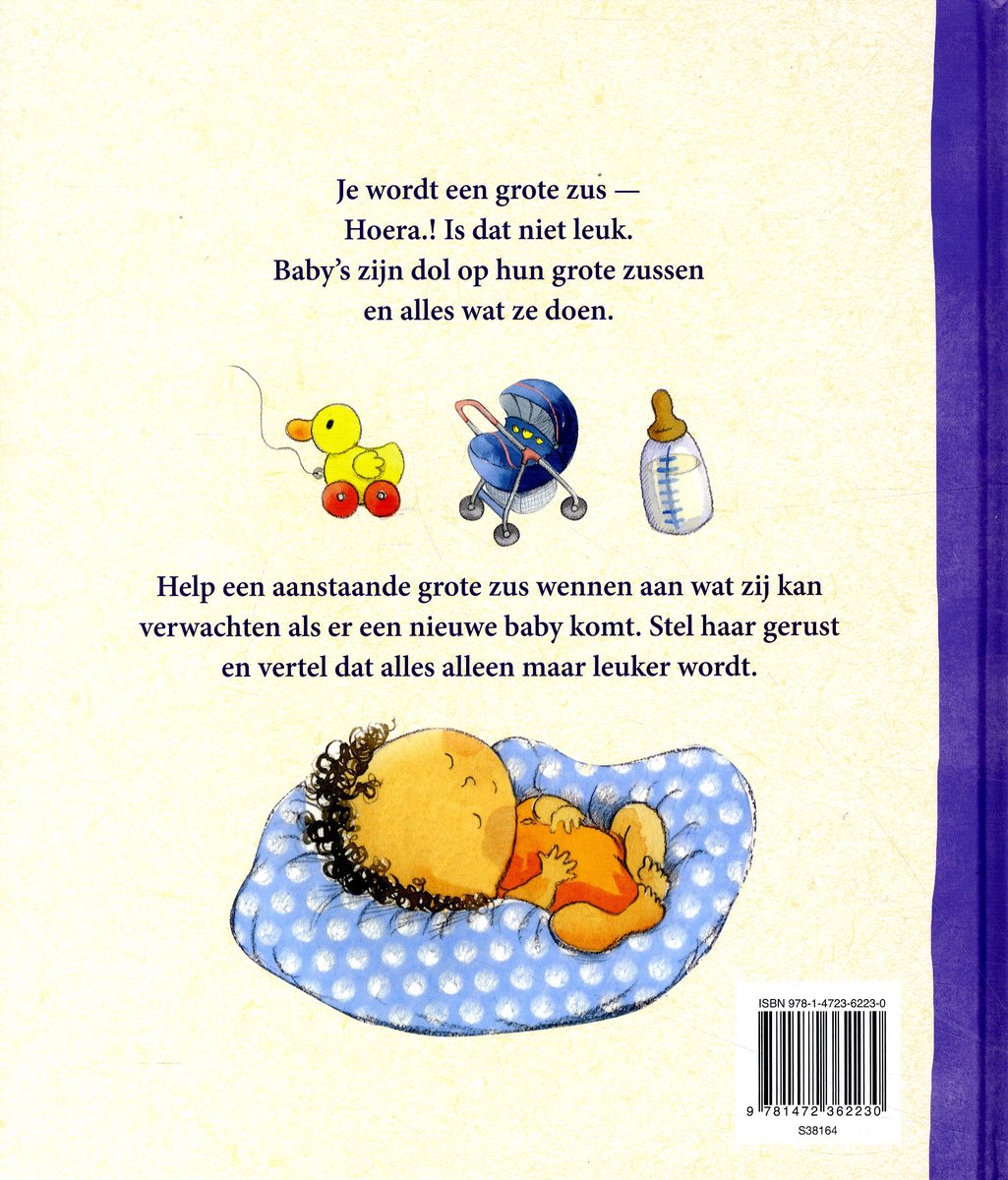 Ik ben je grote zus - back cover