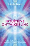 Intuïtieve ontwikkeling