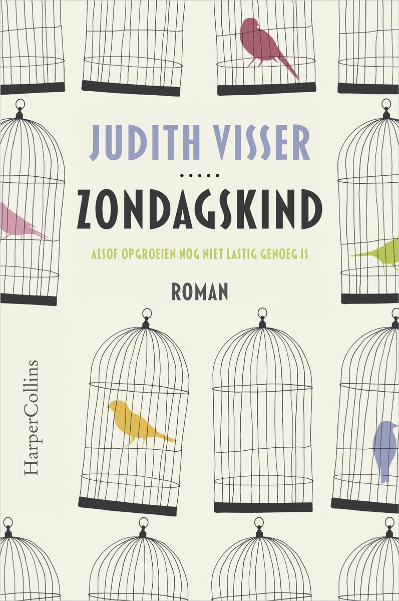 Omslag van Zondagskind Boek - Roman over opgroeien met autisme van Judith Visser