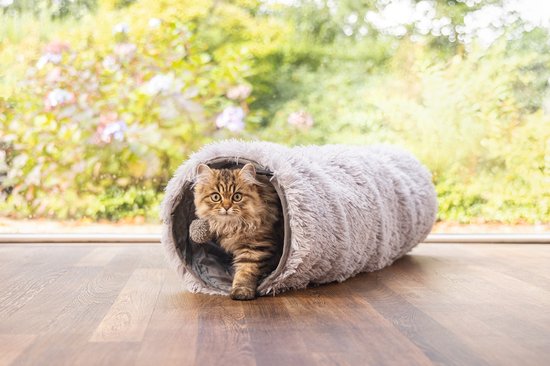 Een cyperkat met tabby-patroon komt uit een grijze, pluizige kattentunnel.