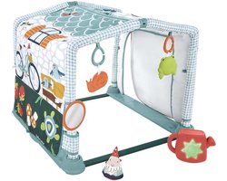 Fisher-Price 3-in-1 Kruipen en Spelen Activiteitenspeelmat