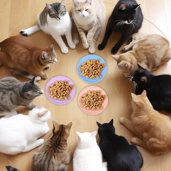 Unyqoos® Ensemble de gamelles colorées et fonctionnelles pour chats et Chats à pattes courtes - 10 pièces
