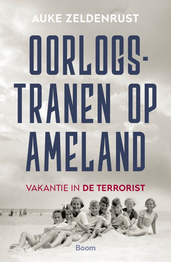 Oorlogstranen op Ameland - cover