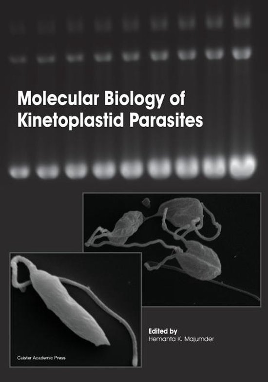 Molecular Biology of Kinetoplastid Parasites - cover