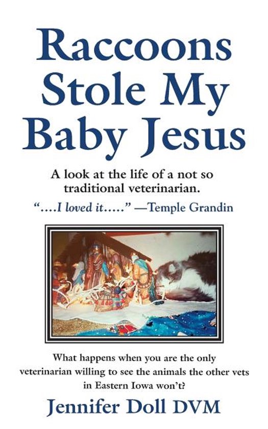 Raccoons Stole My Baby Jesus - cover