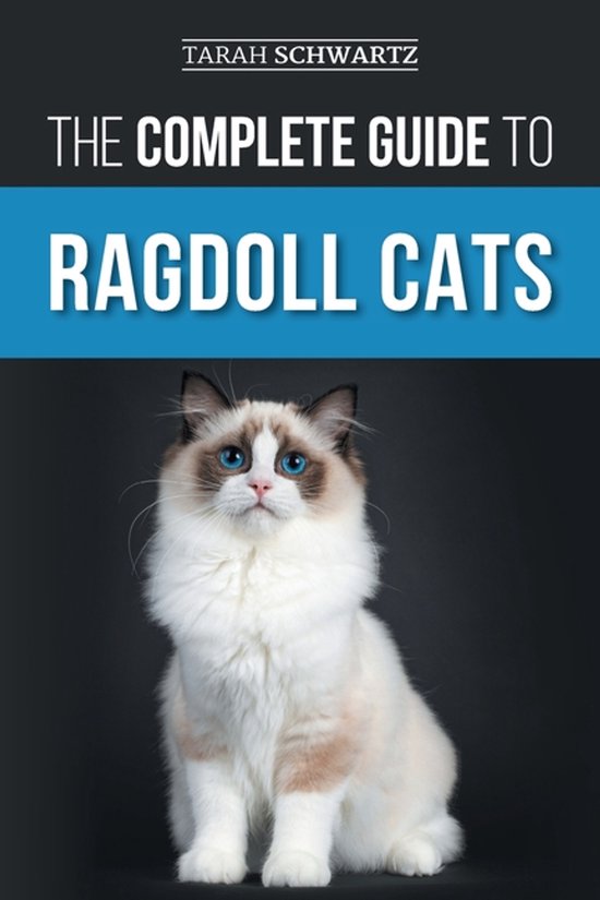 De complete gids voor Ragdoll katten, met een Ragdoll kat met blauwe ogen en bruine en witte vacht.