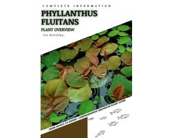 Phyllanthus fluitans