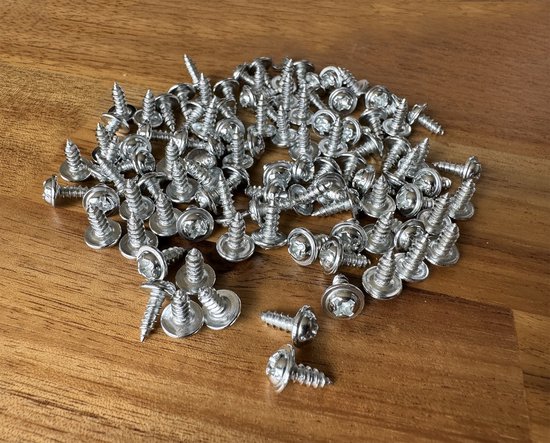 Set de 100 petites vis (3,0x10 mm, couleur argent)