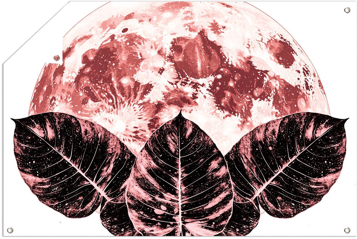 Rode maan en planten - Maan posters - Tuinwanddecoratie bladeren - Surrealistisch - Tuinpo