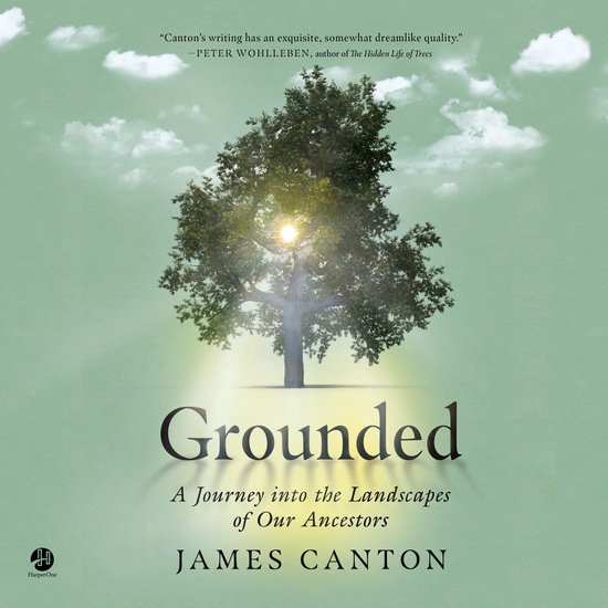 Grounded - cover