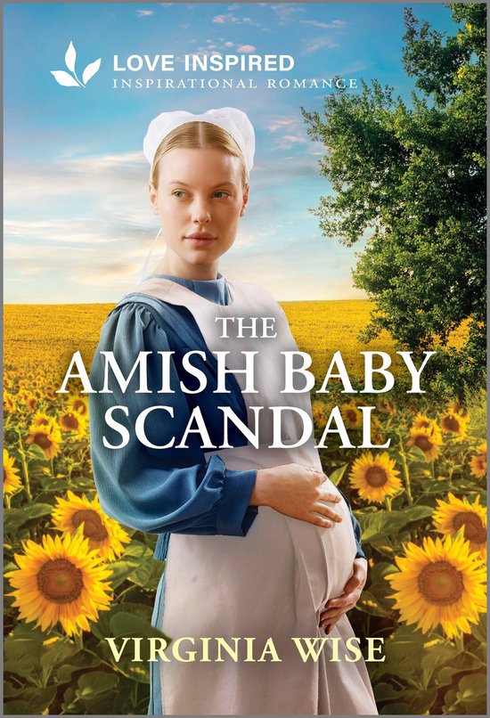 The Amish Baby Scandal - cover