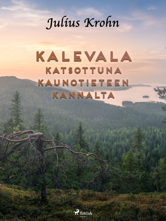 Kalevala katsottuna kaunotieteen kannalta - cover