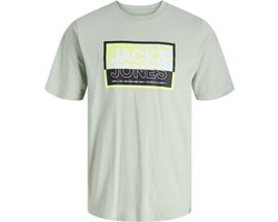 JACK&JONES - JCOLOGAN SUMMER PRINT TEE - Heren T-shirt - Aqua Gray