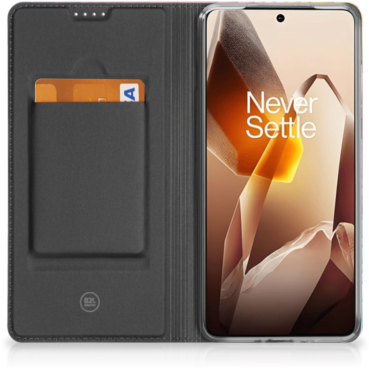 Stand Case voor OnePlus 13 Regenboog