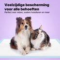 Un chien sheltie et un chat tigré sont allongés côte à côte sur un tapis d'apprentissage pour chiots bleu et blanc.