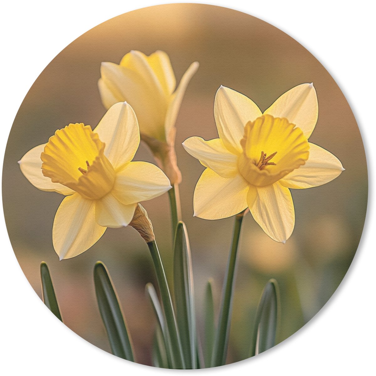 Muismat rond 30x30 cm - Mousepad Bloemen - Geel - Wazig - Ronde muismatten