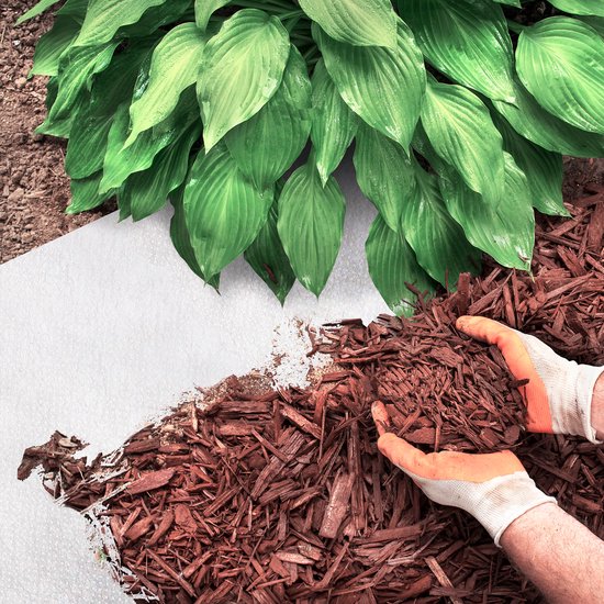 Rouleau de tissu non tissé FLOORDIREKT pour jardin - Toile anti-mauvaises herbes pour billons - Film anti-mauvaises herbes perméable à l'air et à l'eau - Tissu racinaire Extra résistant aux déchirures - 50 g/m² - Au mètre - Wit - 1,5 x 15 m