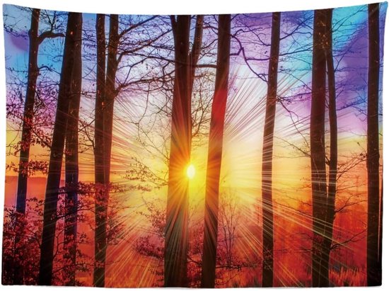 Ulticool - Arbres Sunset Nature - Tapisserie - 200x150 cm - Groot tapisserie - Affiche